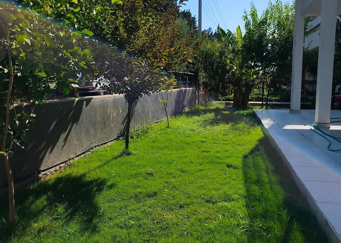 Ida Life Detached With Pool *