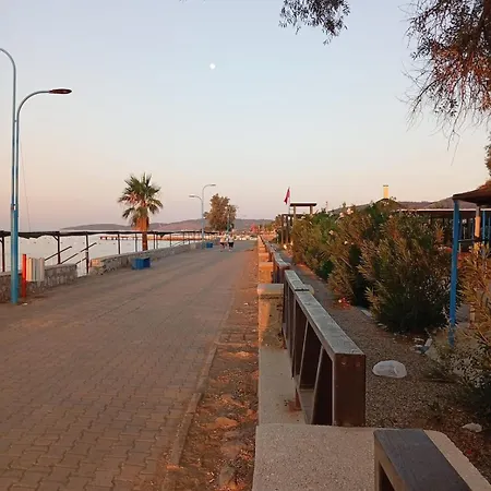 Ida Life Detached With Pool