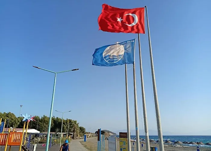 Ida Life Detached With Pool