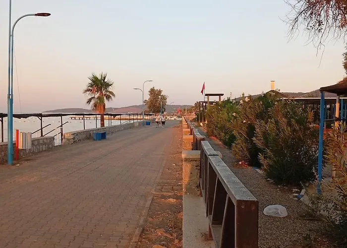 Ida Life Detached With Pool